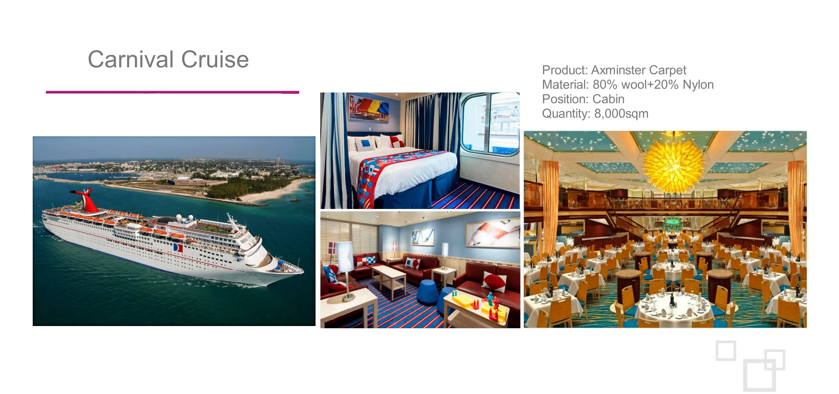 Carnival Cruise carpet project photo 1