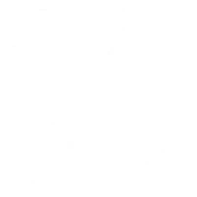 shengyuan carpet logo